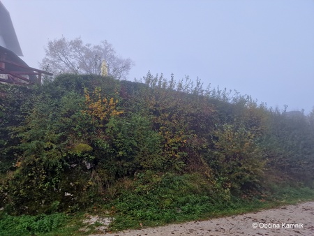 Začetek del čiščenja vegetacije na obzidju Starega gradu Kamnik (1)